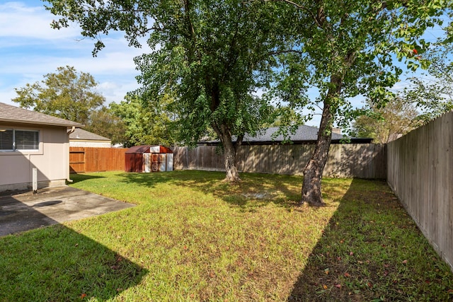 view of yard featuring a patio area and a fenced backyard