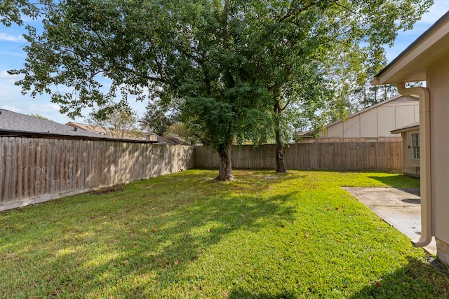 view of yard with a patio area and a fenced backyard