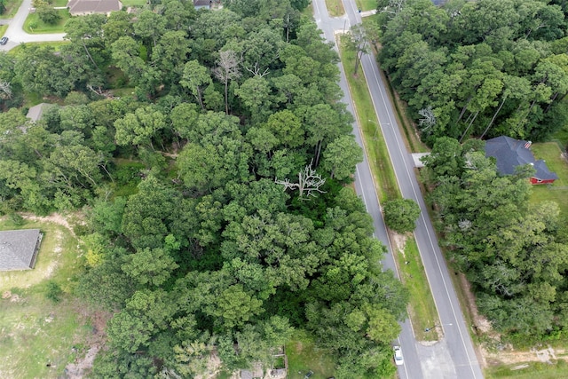 2710 Roman Forest Blvd, New Caney, TX 77357