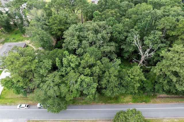 2710 Roman Forest Blvd, New Caney, TX 77357