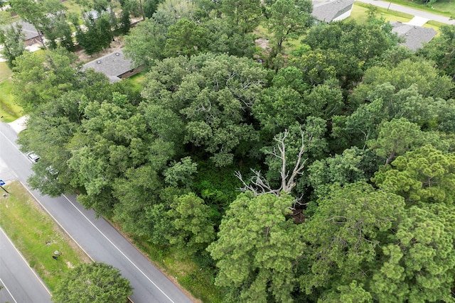 2710 Roman Forest Blvd, New Caney, TX 77357
