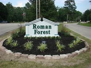 2710 Roman Forest Blvd, New Caney, TX 77357