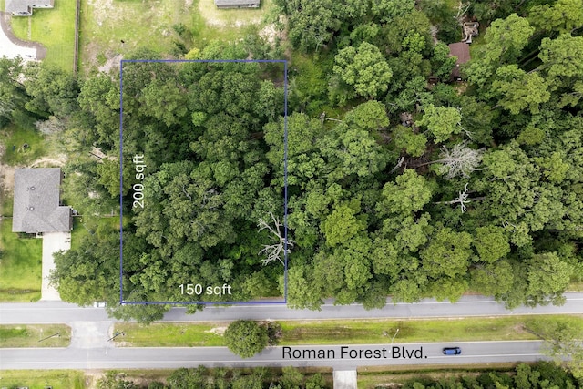 2710 Roman Forest Blvd, New Caney, TX 77357