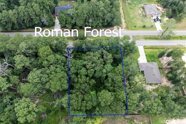 2710 Roman Forest Blvd, New Caney, TX 77357