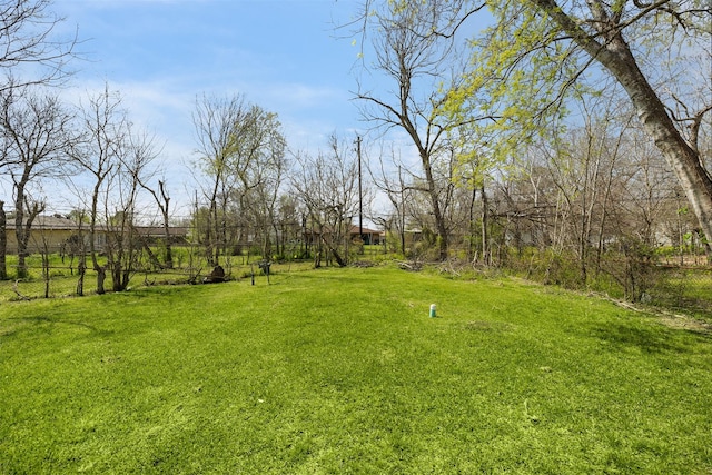 10618 Donegal Way, Houston, TX 77047 - view of yard