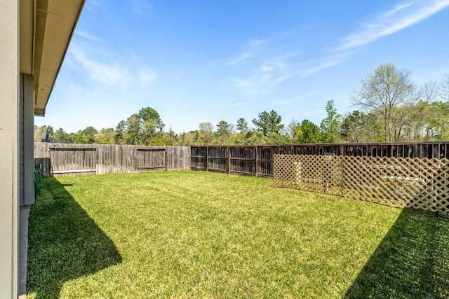156 Buckeye Dr, Montgomery, TX 77316 - view of yard with a fenced backyard