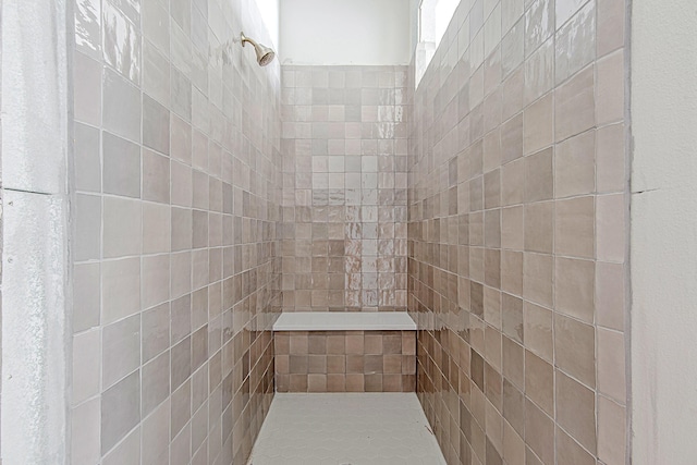 197 Peninsula Point Dr, Montgomery, TX 77356 - full bath featuring tiled shower