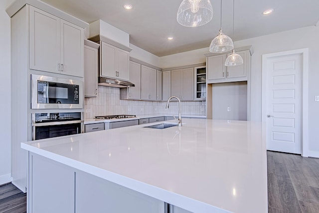 197 Peninsula Point Dr, Montgomery, TX 77356 - kitchen with appliances with stainless steel finishes, dark wood-type flooring, tasteful backsplash, a spacious island, and under cabinet range hood