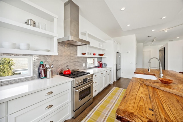 kitchen featuring open shelves, ventilation hood, appliances with stainless steel finishes, a sink, and decorative backsplash