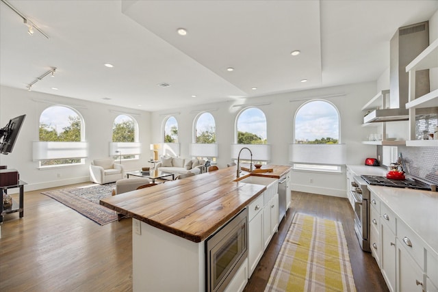 kitchen featuring dark wood-type flooring, wooden counters, appliances with stainless steel finishes, and a wealth of natural light
