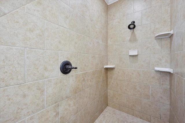 7403 S Park Rd, Lumberton, TX 77657 - full bathroom featuring tiled shower
