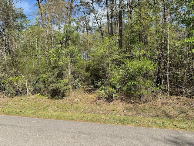 0 Ladue Rd, Crosby, TX 77532 - photo 6