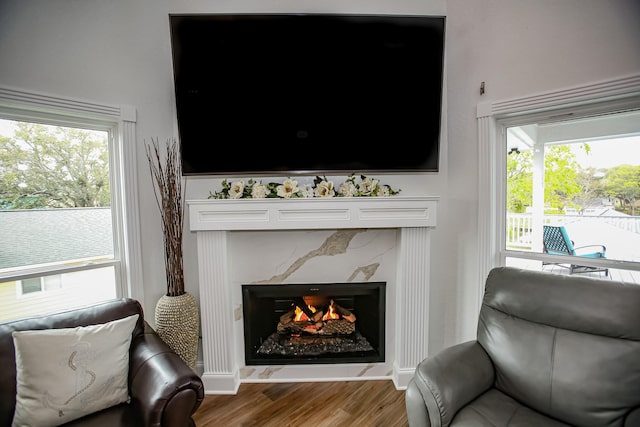 living area with a healthy amount of sunlight, wood finished floors, and a premium fireplace
