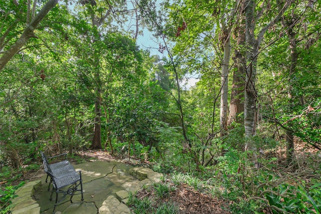 2230 S Piney Point Rd Unit 113, Houston, TX 77063 - photo 27