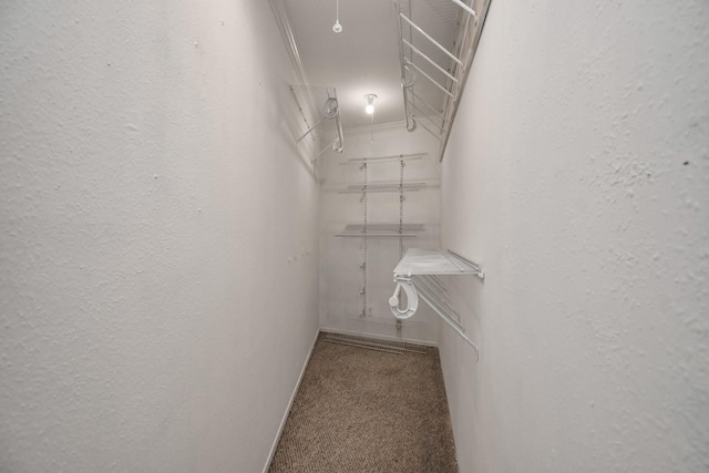 11525 Burdine St Unit 421, Houston, TX 77035 - walk in closet featuring carpet floors