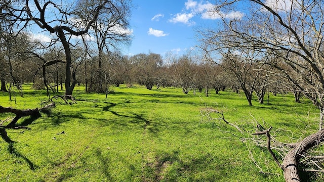 40499 Garrett Rd, Brookshire, TX 77423 - photo 6