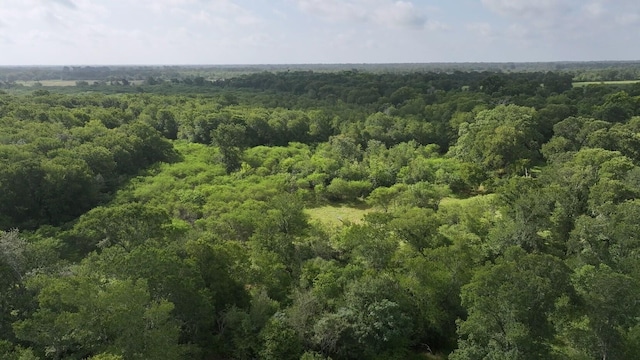 40499 Garrett Rd, Brookshire, TX 77423 - photo 17