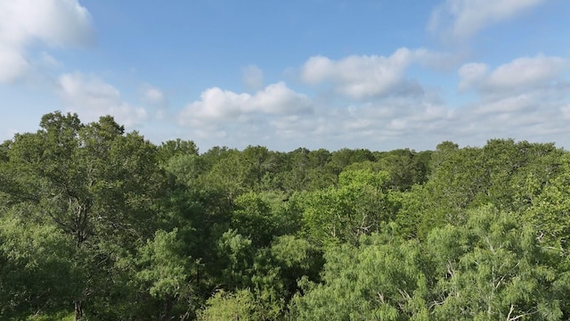40499 Garrett Rd, Brookshire, TX 77423 - photo 19
