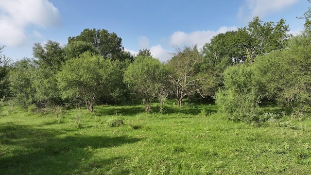 40499 Garrett Rd, Brookshire, TX 77423 - photo 21
