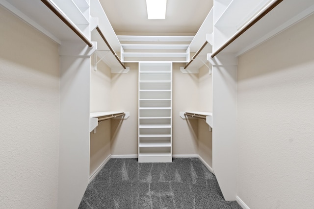 walk in closet with dark carpet