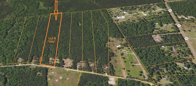LOT6 Blue Jay Dr, Kountze, TX 77625 - photo 1