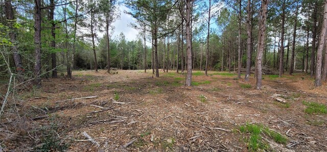 LOT6 Blue Jay Dr, Kountze, TX 77625 - photo 2