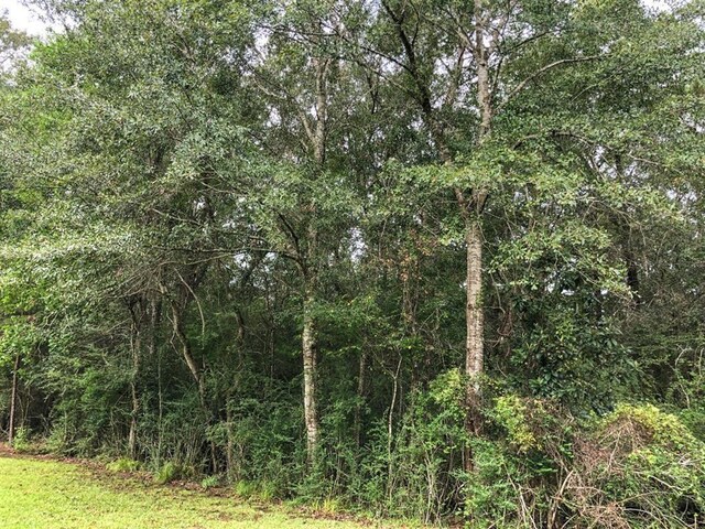 LOT6 Blue Jay Dr, Kountze, TX 77625 - photo 3