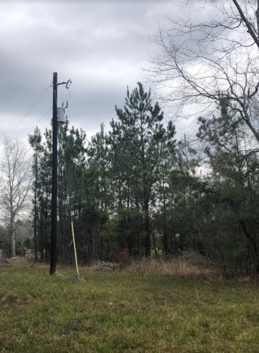 LOT6 Blue Jay Dr, Kountze, TX 77625 - photo 4