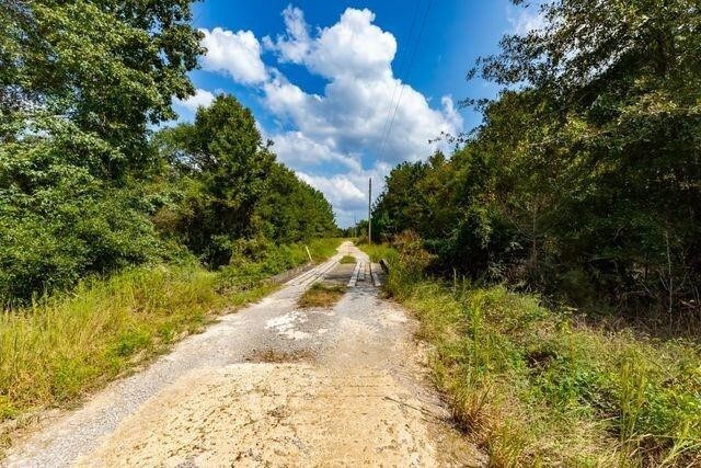LOT6 Blue Jay Dr, Kountze, TX 77625 - photo 5