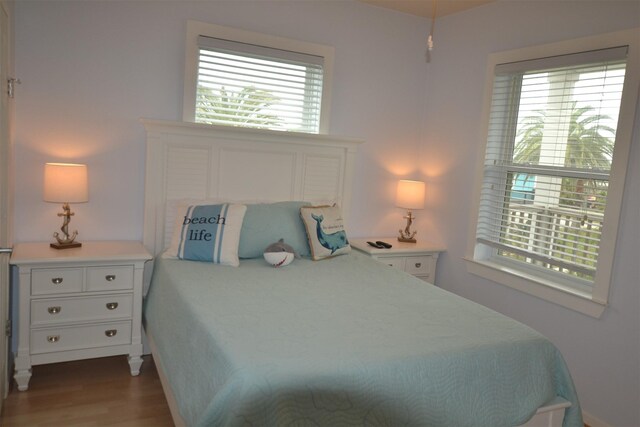 4031 Hardin Dr, Galveston, TX 77554 - bedroom featuring dark wood-style floors