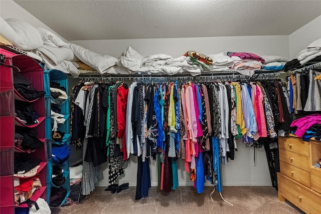 walk in closet featuring carpet floors