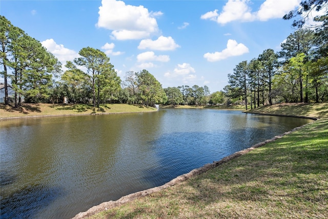 7931 Clarion Way, Houston, TX 77040 - water view