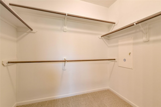 18015 Secret Branch Ln, Cypress, TX 77433 - spacious closet with carpet floors