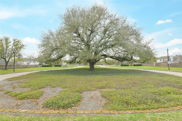 18015 Secret Branch Ln, Cypress, TX 77433 - view of yard