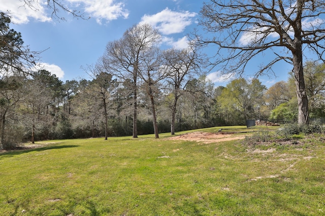 8536 Prince William Ct, Montgomery, TX 77316 - view of green lawn featuring a view of trees