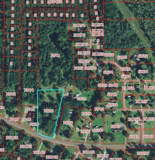 0 W Fm 418, Silsbee, TX 77656 - photo 4