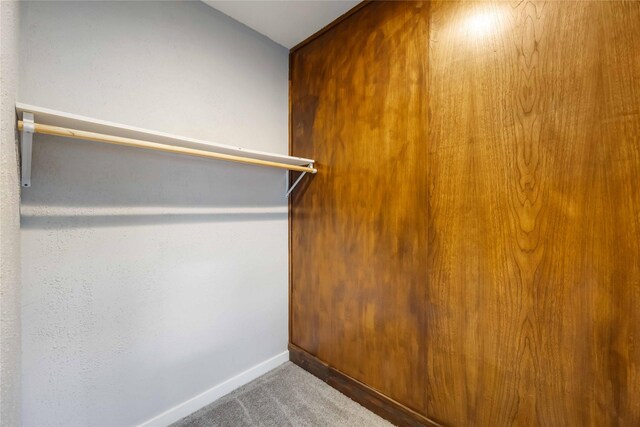 walk in closet featuring carpet flooring