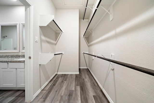5899 Skylane Dr, Montgomery, TX 77316 - spacious closet featuring dark wood-style floors
