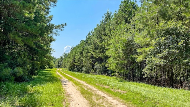 1165 County Road 3064, Kirbyville, TX 75966 - photo 3