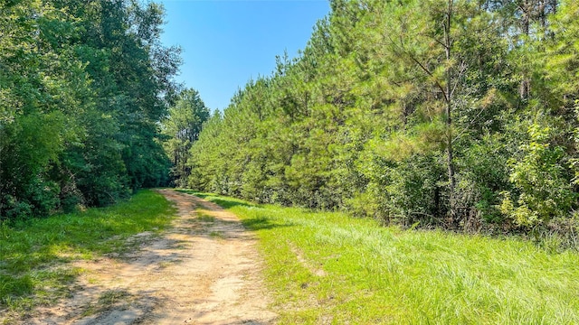 1165 County Road 3064, Kirbyville, TX 75966 - photo 4