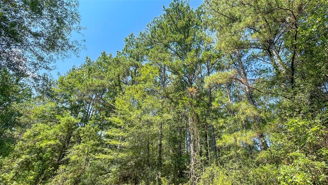 1165 County Road 3064, Kirbyville, TX 75966 - photo 5