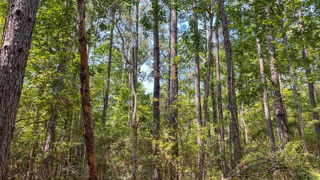 1165 County Road 3064, Kirbyville, TX 75966 - photo 10