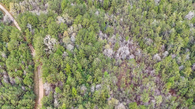 1165 County Road 3064, Kirbyville, TX 75966 - photo 18