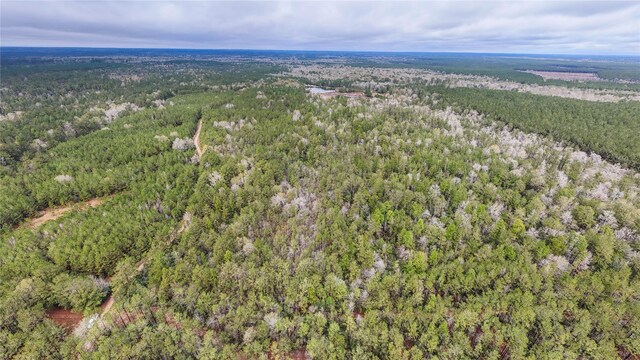 1165 County Road 3064, Kirbyville, TX 75966 - photo 19