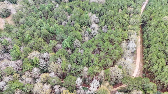 1165 County Road 3064, Kirbyville, TX 75966 - photo 20