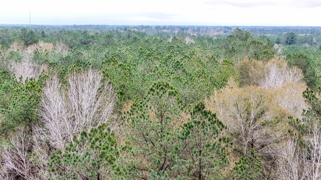 1165 County Road 3064, Kirbyville, TX 75966 - photo 21