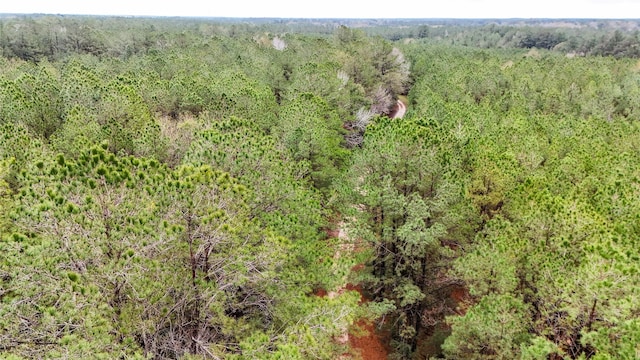 1165 County Road 3064, Kirbyville, TX 75966 - photo 22