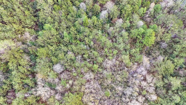 1165 County Road 3064, Kirbyville, TX 75966 - photo 24