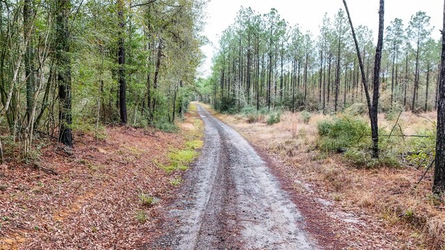 1165 County Road 3064, Kirbyville, TX 75966 - photo 26