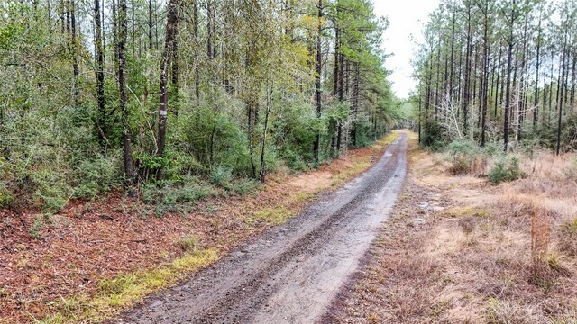 1165 County Road 3064, Kirbyville, TX 75966 - photo 27